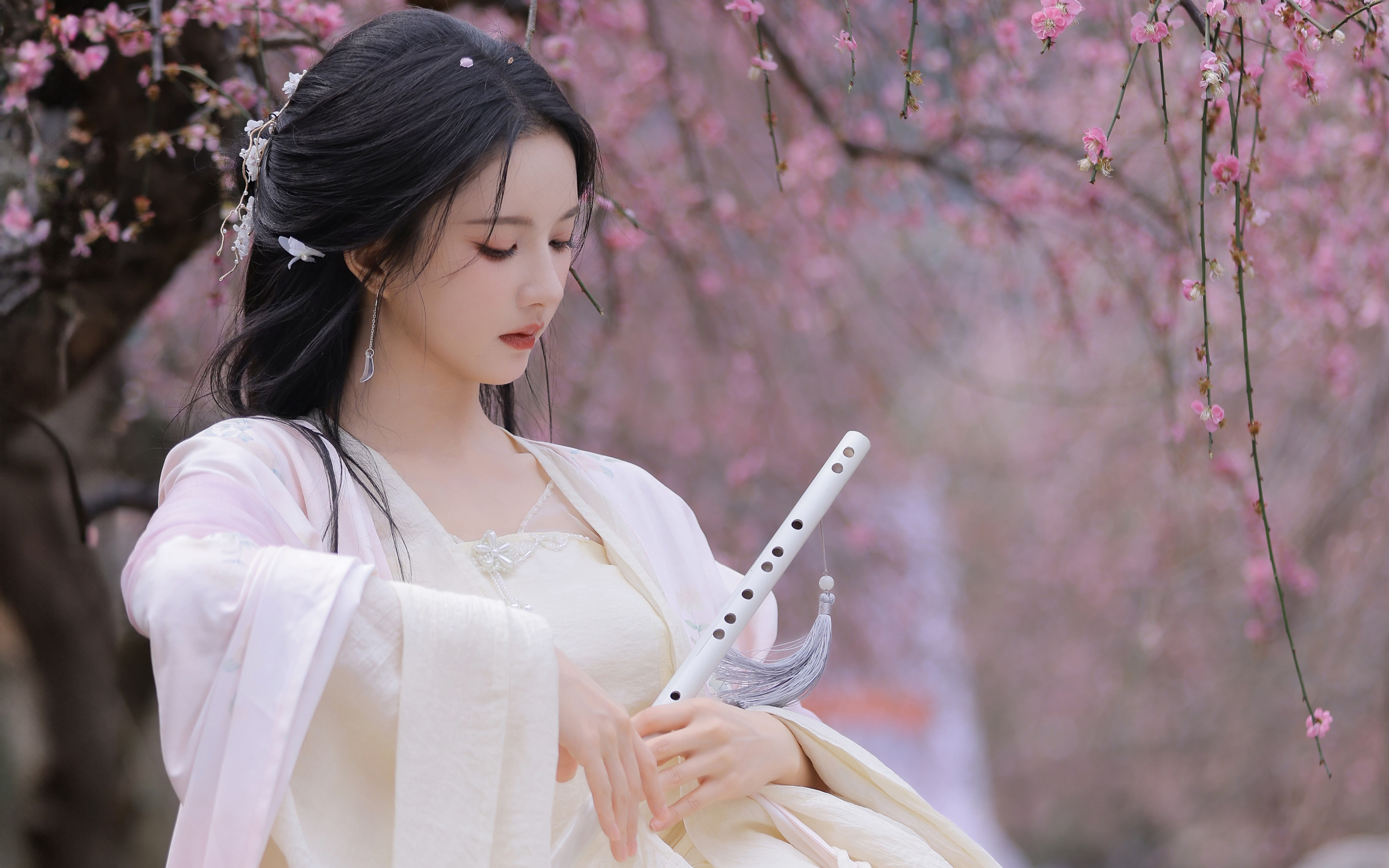 00373 使用并行的 Claude 团队构建 C 编译器